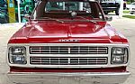 1979 D150 Pickup Thumbnail 3