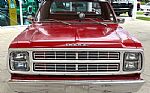 1979 D150 Pickup Thumbnail 3