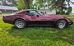 1981 Corvette Thumbnail 4