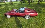 1981 Corvette Thumbnail 16