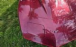 1981 Corvette Thumbnail 68