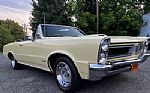 1965 GTO Thumbnail 2