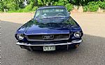 1966 Mustang Thumbnail 3