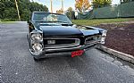 1966 GTO Thumbnail 12