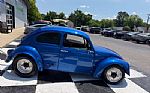 1964 Beetle Thumbnail 2