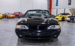 1998 Mustang SVT Cobra Convertible Thumbnail 9