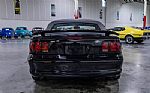1998 Mustang SVT Cobra Convertible Thumbnail 26