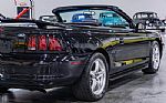 1998 Mustang SVT Cobra Convertible Thumbnail 44