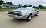 1979 Firebird Trans Am Thumbnail 6
