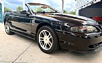 1997 Mustang Thumbnail 19