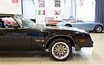 1977 Trans Am Thumbnail 23
