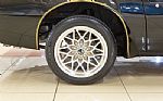 1977 Trans Am Thumbnail 24