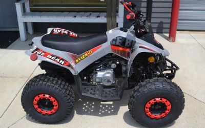 Photo of a 2026 Icebear SY125 ATV ATV for sale