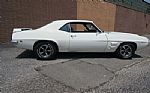 1969 Firebird Thumbnail 13