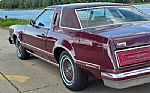 1979 Thunderbird Thumbnail 6