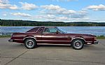 1979 Thunderbird Thumbnail 14