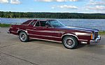 1979 Thunderbird Thumbnail 15
