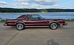 1979 Thunderbird Thumbnail 17