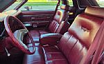 1979 Thunderbird Thumbnail 32