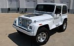 1991 Wrangler Renegade Thumbnail 2