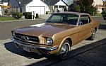1964 Mustang Thumbnail 1