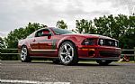 2008 Mustang 302 Heritage Thumbnail 25