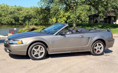 Photo of a 2001 Ford Mustang SVT Cobra for sale