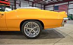 1970 GTO SC/Tiger Thumbnail 5