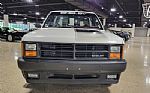 1989 Dakota Shelby Pickup Truck Thumbnail 46