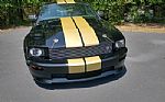 2006 Mustang Shelby GT Hertz Thumbnail 3