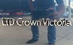 1988 Crown Victoria Thumbnail 22