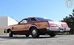 1979 Thunderbird Thumbnail 10