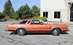 1979 Thunderbird Thumbnail 17