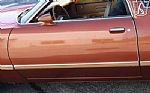1979 Thunderbird Thumbnail 47