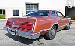 1979 Thunderbird Thumbnail 70