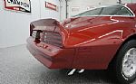 1976 Trans Am Thumbnail 13