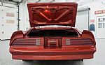 1976 Trans Am Thumbnail 70