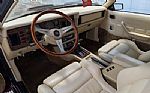 1983 Mustang Zimmer Golden Spirit Thumbnail 10