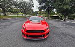 2015 Mustang Thumbnail 7