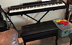 2025 P-525B Digital Piano Thumbnail 1