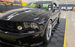 2005 Mustang Saleen S281 Supercharg Thumbnail 11