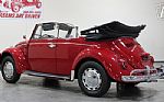 1967 Beetle Thumbnail 4