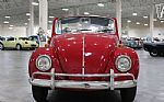 1967 Beetle Thumbnail 19