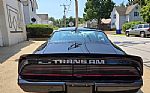 1979 Trans Am Thumbnail 4