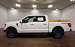 2024 F-150 Thumbnail 6