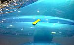 1975 Corvette Stingray L-82 Thumbnail 38