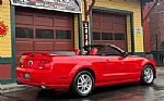 2005 Mustang Thumbnail 12