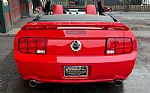 2005 Mustang Thumbnail 13