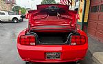 2005 Mustang Thumbnail 23