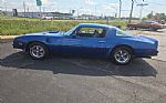 1976 Firebird Trans Am Thumbnail 6